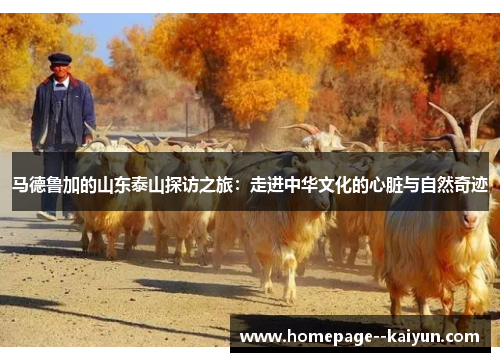 马德鲁加的山东泰山探访之旅：走进中华文化的心脏与自然奇迹