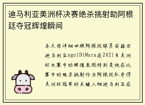 迪马利亚美洲杯决赛绝杀挑射助阿根廷夺冠辉煌瞬间 迪马利亚美洲杯决赛绝杀挑射助阿根廷夺冠辉煌瞬间