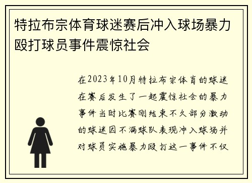特拉布宗体育球迷赛后冲入球场暴力殴打球员事件震惊社会 特拉布宗体育球迷赛后冲入球场暴力殴打球员事件震惊社会